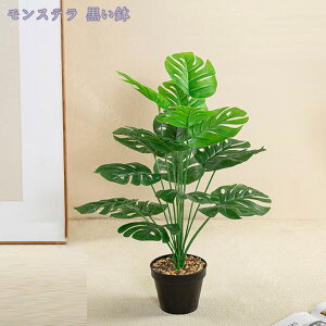 tFCNO[ lH { Ύ ϗtA 傫 lHϗtA CeA  ItBX   tFCNO[ CeA lHϗtA ͂Ȃ tA^Cv 