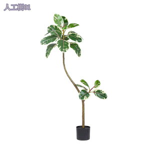 1000~OFFN[| lHA lHϗtA CeAO[ ϗtA lHA ^ tFCNO[ lHϗtA 傫 ItBX  Z ItBX Xܗp Ɩp P A 