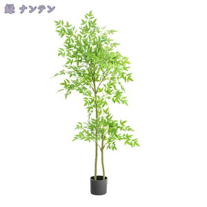 lHϗtA lHA tFCNO[ 傫  CeAO[ bJ ϗt A[gO[ JXj e@ p sv A zj Vzj rO lH