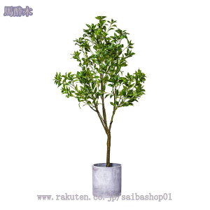 2000~OFFN[| tFCNO[ t lHϗtA lHϗt ^ Vv  CeA rO  CeA A JX Vz z j v[g 