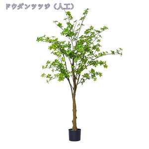 tFCNO[ ϗA lHϗt ϗtA tFCNϗtA ^ lHϗtA ^ p Vv ItBX  CeA  lHϗtA j ̓ Mtg 蕨 