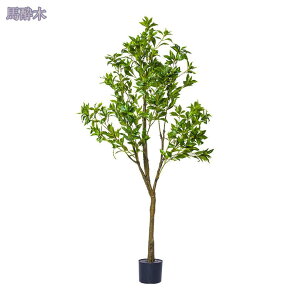 2000~OFFN[| tFCNO[ ϗA lHϗt ϗtA tFCNϗtA ^ lHϗtA ^ p Vv ItBX  CeA  lHϗtA j 