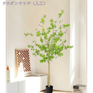 tFCNO[ ϗtA 傫 lHϗtA CeA  ItBX   tFCNO[ O[ CeA lH tFCN lHϗtA ͂Ȃ tA^Cv lH