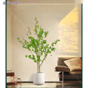 1000~OFFN[| lHA lHϗtA CeA ϗtA lHA O[ ^ tFCNO[ lHϗtA 傫 ItBX  Z ItBX Xܗp Ɩp P A