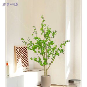 tFCNO[ t lHϗtA lHϗt ^ Vv  CeA rO  CeA A JX Vz zj v[g ȒP sv 