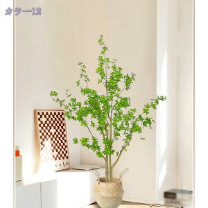 2000~OFFN[| tFCNO[ t lHϗtA lHϗt ^ Vv  CeA rO  CeA A JX Vz zj v[g 