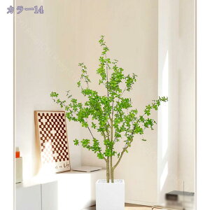 1000~OFFN[| tFCNO[ t lHϗtA lHϗt ^ Vv  CeA rO  CeA A JX Vz zj v[g 