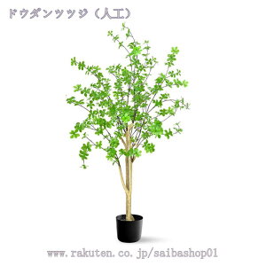 1000~OFFN[| tFCNO[ t lHϗtA lHϗt ^ Vv  rO  CeA A JX Vz zj v[g ȒP s