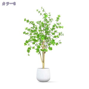 hE_ccW tFCNO[ t lHϗtA lHϗt ^ Vv  rO  CeA A JX Vz zj v[g ȒP s