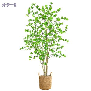 2000~OFFN[| hE_ccW ϗA lHϗt tFCNO[ JXj CeA Vzj A[gO[ 蕨 O[ ϗtA lHA CeA b炸 