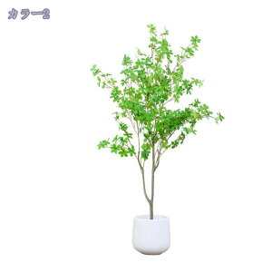 1000~OFFN[| lHϗtA tFCNO[ ^ lHϗt tFCNϗtA Vv t  b炸 sv ItBX  CeA z[ fR[V 