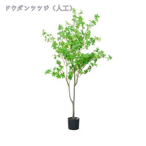 3500~OFFN[| tFCNO[ lHA ډB lHϗtA ^ lHϗtA tFCNO[   ͋C A t  rO  CeA sv 
