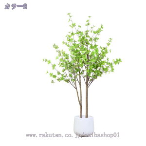 2000~OFFN[| lHA lHϗtA 傫 CeAO[ bJ ϗt A[gO[ JXj e@ p sv A zj Vzj rO lHA 