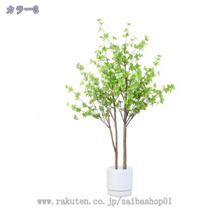 1000~OFFN[| lHA lHϗtA 傫 CeAO[ bJ ϗt A[gO[ JXj e@ p sv A zj Vzj rO lHA 