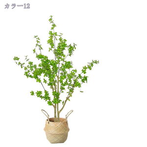 tFCNO[ t lHϗtA lHϗt ϗtA tFCN Vv  CeA rO  CeA ȒP sv Q̐SzȂ A JX 