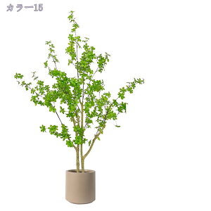 2000~OFFN[| tFCNO[ ^ A  ItBX ][g  Vz Xܗp Ɩp lHϗtA  lHϗtA ϗtA tFCNO[ rO CeA 