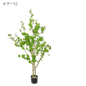 2000~OFFN[| tFCNO[ ^ A  ItBX ][g  Vz Xܗp Ɩp lHϗtA  lHϗtA ϗtA tFCNO[ rO CeA 