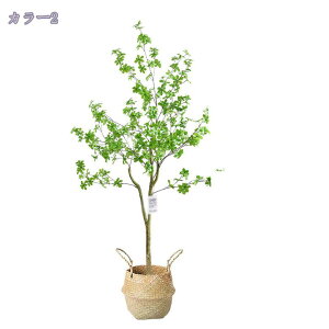 A lHA ϗtA  tFCNO[ ^ CeA tFCNO[ X u fR[V 뉀 ItBX ȒP j v[g Mtg 蕨 _ l