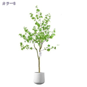 A lHA ϗtA  tFCNO[ ^ CeA tFCNO[ X u fR[V 뉀 ItBX ȒP j v[g Mtg 蕨 _ l