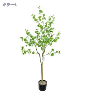 A lHA ϗtA  tFCNO[ ^ CeA tFCNO[ X u fR[V 뉀 ItBX ȒP j v[g Mtg 蕨 _ l