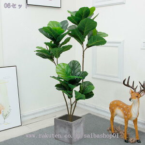 2000~OFFN[| lHA ډB lHϗtA tFCNO[ ^ lHϗtA tFCNO[   ͋C A  t  rO  CeA 傫