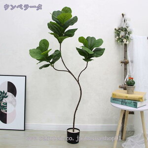 1000~OFFN[| lHϗtA tFCNO[ ^ lHϗt tFCNϗtA Vv t  b炸 sv ItBX  CeA z[ fR[V 