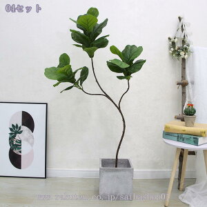 1000~OFFN[| A lHA ϗtA  tFCN  ^ CeA tFCNO[ X u fR[V 뉀 ItBX ȒP j v[g Mtg 