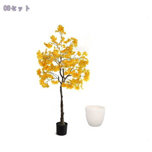 tFCNO[ lHϗtA tFCN lHϗt ^  t  ItBX JXj ȒP sv Q̐SzȂ ΂̂炵 zj Vzj lHA