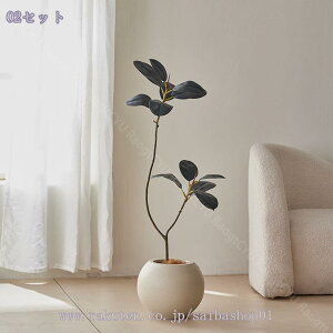 A lHA ϗtA  tFCN  ^ CeA tFCNO[ X u fR[V 뉀 ItBX ȒP j v[g Mtg 蕨 _  