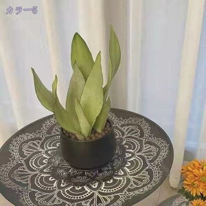 TChe[u g[e[u ~` ی^ ؐ VR y  킢 bJ ԑ  ֎q \t@TCh l炵 gȒP rt 32/40/48cm zCg  k V