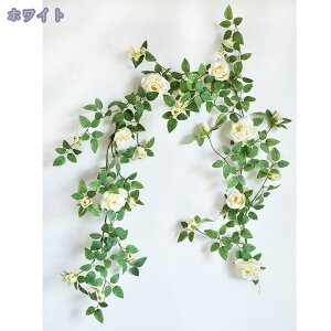 lHϗtA Ǌ| ̉ Ηt ͂Ȃ N[ [u [X XbO lHϗtA EH[O[  CeAG lHA tFCNO[ Ǌ| V 