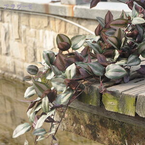 300~OFFN[| tFCNO[ Ηt ACr[ ݂艺 lHϗtA Ǌ| nMO ACr[ G A[g   CeAG 킢 ₵ i` lHA AC