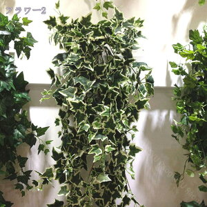 1000~OFFN[| ̉ Ǌ| tFCNO[ lHϗtA  Ηt V ݂艺 CeA AeB[N tFCN Ǌ| A  p[eB[  ͂Ȃ Vbv } 