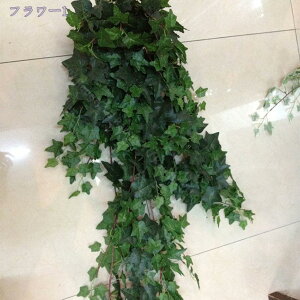 500~OFFN[| tFCNO[ Ηt ACr[ ݂艺 lHϗtA Ǌ| nMO ACr[ G A[g   CeAG 킢 ₵ i` lHA AC