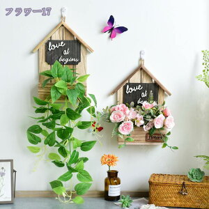 2_Zbg lHϗtA  KN̉ lHo Ǌ| EFfBO tFCN[J[X  iX   j Mtg v[g AWTC tFCNt[ t[V