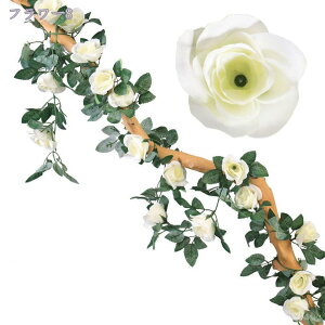 lHϗtA  KN̉ lHo̓ Ǌ| EFfBO tFCNt[ t[VfA tFCN[J[X  iX  ԃ^ 1{/2{/4{ j Mt