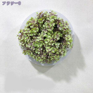 1000~OFFN[| A lHϗtA A[gt[ tFCNO[ Ǌ| 񂹐A tFCN ϗtA ze CeA Ǐ pl C~e[V EH[pl EH[O