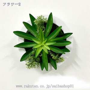 777~OFFN[| lHA EH[O[ ~j AA ͂Ȃ tFCNO[  z[   gC ItBX fR[V ϗtA CeA   