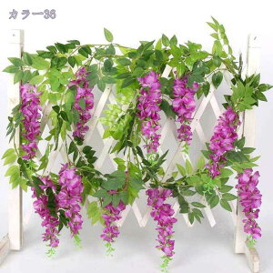  KN [Y tFCNO[ Ηt A ݂艺  z[ EH[fR[VY lHϗtA Xܑp Bep  뉀 Ǌ|݂邵 ΂̗t CeA