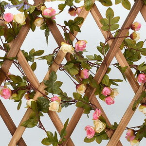 lHϗtA  tFCNO[ [Y ݂艺 CeA GAvc   CeAO[ Xܑ  p[eB[ Ǌ| CeAG  1{/2{/4{ 