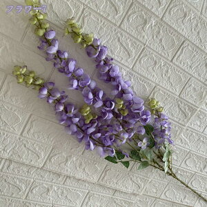 2000~OFFN[|   Ǌ| 邢F { ͂Ȃ EH[O[ Ǌ| tFCNO[ lHϗtA   lHϗtA GA[vc  C