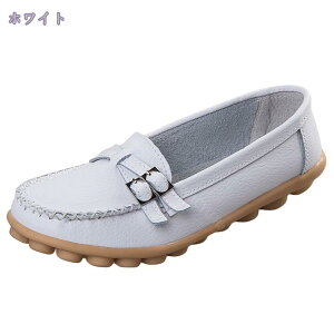 500~OFFN[| JV tbgV[Y fbLV[Y Xb| fB[X C ₷ hCrOV[Y ʋ ʊw ₷ i[XV[Y tbg bV  