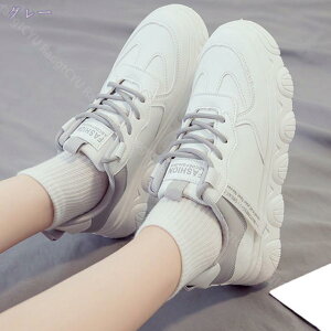 Xj[J[ fB[X Xj[J[ _bhXj[J[  X|[c V[Y jOV[Y EH[LOV[Y ^C ʋC JWA r y gAbv ʋ Ȃ 