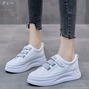 Xj[J[ [Jbg Xj[J[ Xb| JWAV[Y ^C  }WbNe[v fB[X ̎q ʋC y s n [Jbg tbgV[Y ɂ EH