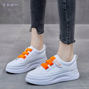 1000~OFFN[| Xj[J[ [Jbg Xj[J[ Xb| JWAV[Y ^C  }WbNe[v fB[X ̎q ʋC y s n [Jbg tbgV[Y 