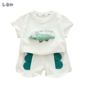 300~OFFN[| LbY xr[ ㉺Zbg J[fBK TVc V[gpc ZpV[c 2_Zbg j̎q uEX  j gbvX xr[ Ԃ ĕ V Zbg