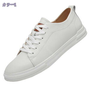 1000~OFFN[| Xj[J[ Y y [Jbg fbLV[Y y EH[LO JWA ₷ ₷ ɂ Vv amC ~ [XAbv AEghA R