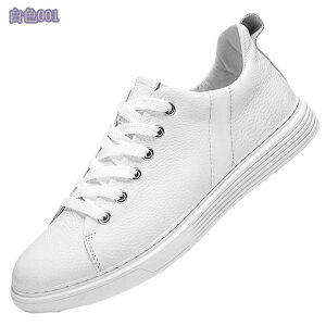 Xj[J[ Y  NbV [XAbvV[Y K ʋC EH[LO ^C Yt@bV y ʊw ʋ 풅p  hCrO JWA rWlX h 