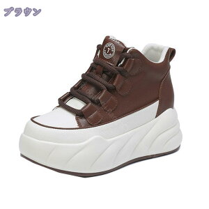 1000~OFFN[| Xj[J[ fB[X Xm[u[c EhgD EH[LOV[Y   킢 C [Nu[c hC ӂӂ jO ʋ 풅p r g