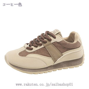 Xm[u[c fB[X 傫TCY h h Xm[V[Y  Ȃ hC H~p AEghA  V ʋ ʊw C ₷ N 킢 oR g ӂ